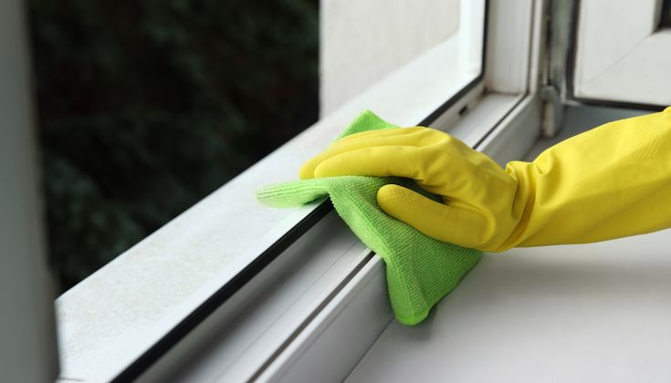 Window and Glass Cleaning